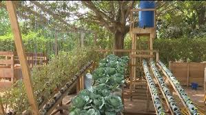 Agriculture : Bouaké teste les cultures intelligentes face au climat